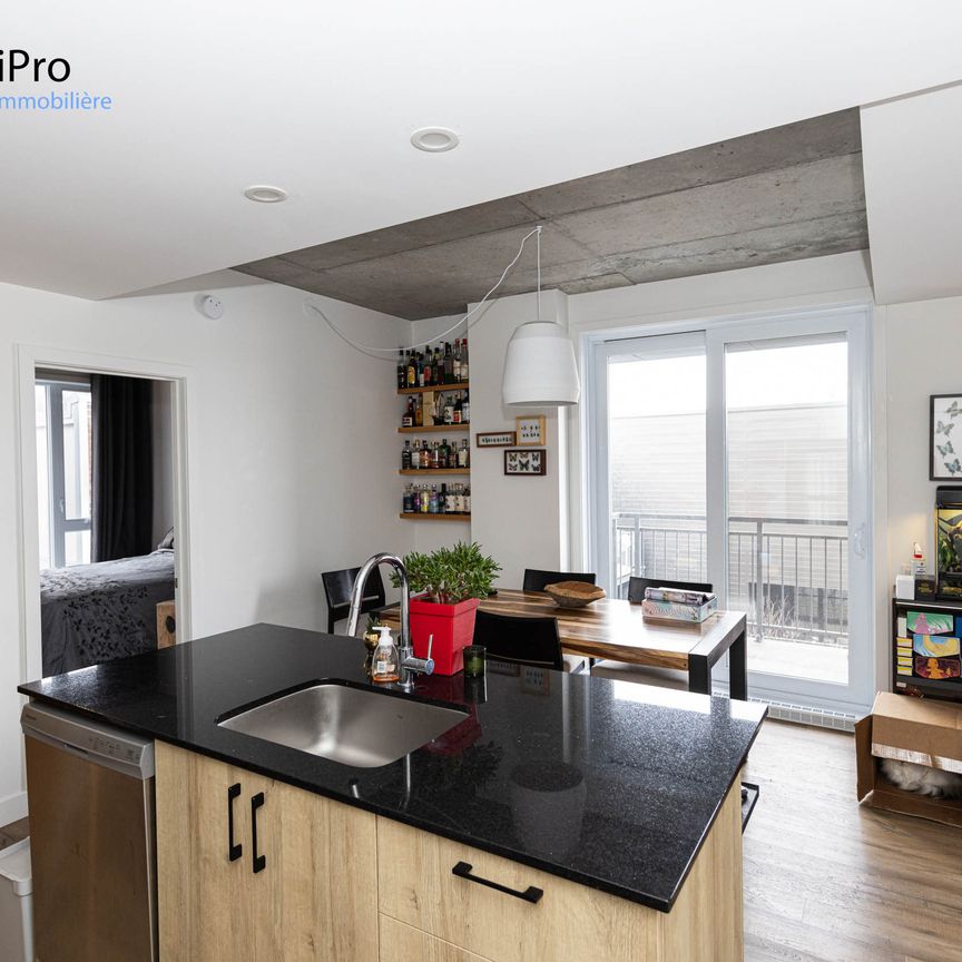 175 St-Vallier Est – Le Gecko - Photo 1