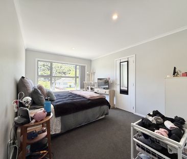 3 bedroom home in Lower Hutt - Photo 3