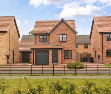 3 bedroom detached house to rent - Photo 6
