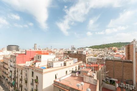 Plaça del Pedró, Barcelona, Catalonia 08001 - Photo 5