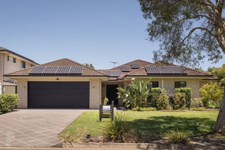 7 Singleton Place, Carseldine QLD 4034 - House For Rent | Domain - Photo 3