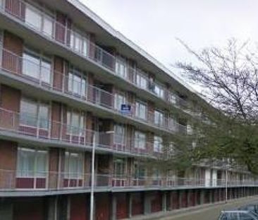 Predikherenlaan 0ong, 5042 Tilburg, Nederland - Foto 1