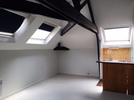 Location Appartement 1 pièce 25m² RENNES 35000 - Photo 4