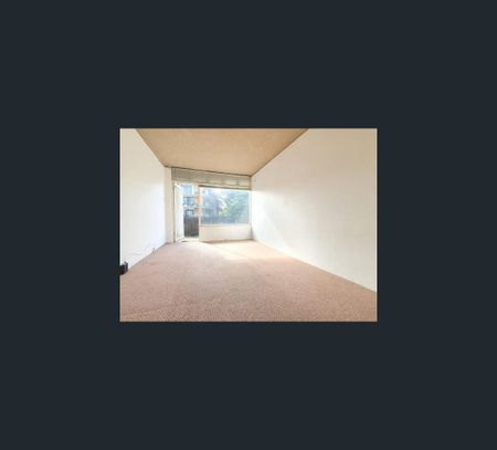 6/187 Old South Head Road, Bondi Junction, NSW 2022 - Photo 2