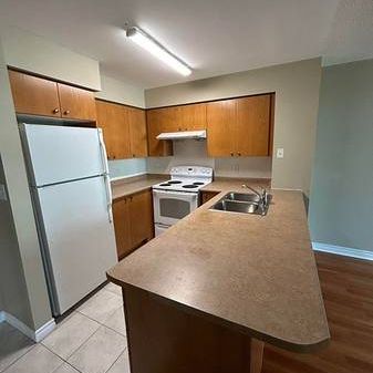 Yonge & Sheppard Beautiful 2Bdrm Open Concept All Utilities Included - Photo 4