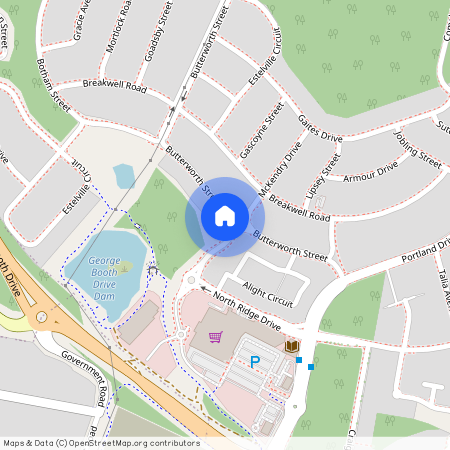 29 Butterworth Street, NSW 2285, Cameron Park