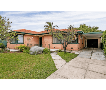 24 elese ave, Campbelltown, SA 5074 - Photo 2