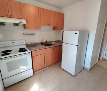 1 Bedroom Apt Available December 1st (Gerrard & Broadview) - Photo 4