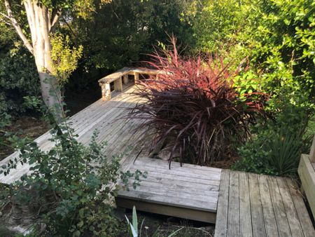 Cute and comfortable in Maori Hill - Available 13/10/2025 - Photo 5