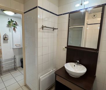 Location Appartement 1 pièce 19m² - Photo 6