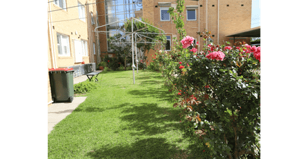 Leafy Lifestyle Living - Photo 3