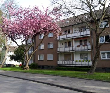 Basunestraße 8, 45329 Essen - Foto 5