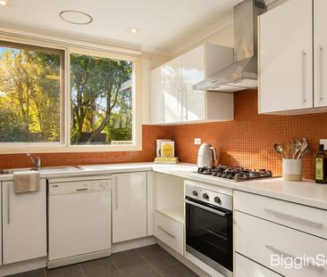 Spacious Family Living in a Quiet Court Location - Photo 6