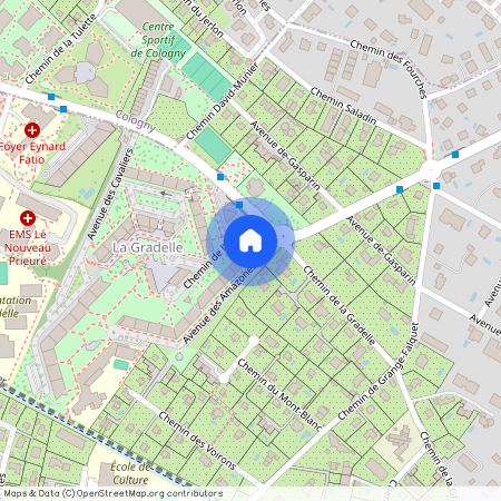 Avenue des Amazones 2, 1224, Chêne-Bougeries