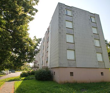 Appartement SAINT CALAIS T3 - Photo 2