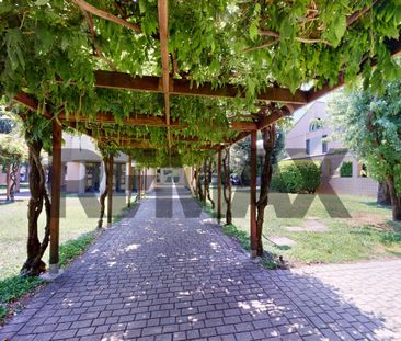 Appartamento in Segrate - Photo 1