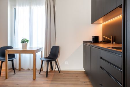 1.5 Zimmerwohnung - grosses Studio mit eigenem Waschturm - Photo 3