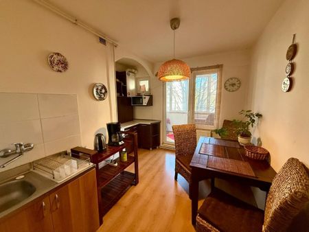AA/738 De închiriat apartament cu 2 camere în Tg Mureș - Dâmb - Photo 4