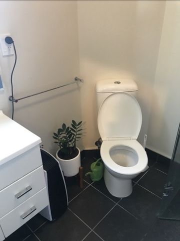 Superior Studio Complex for 2026 - Photo 4