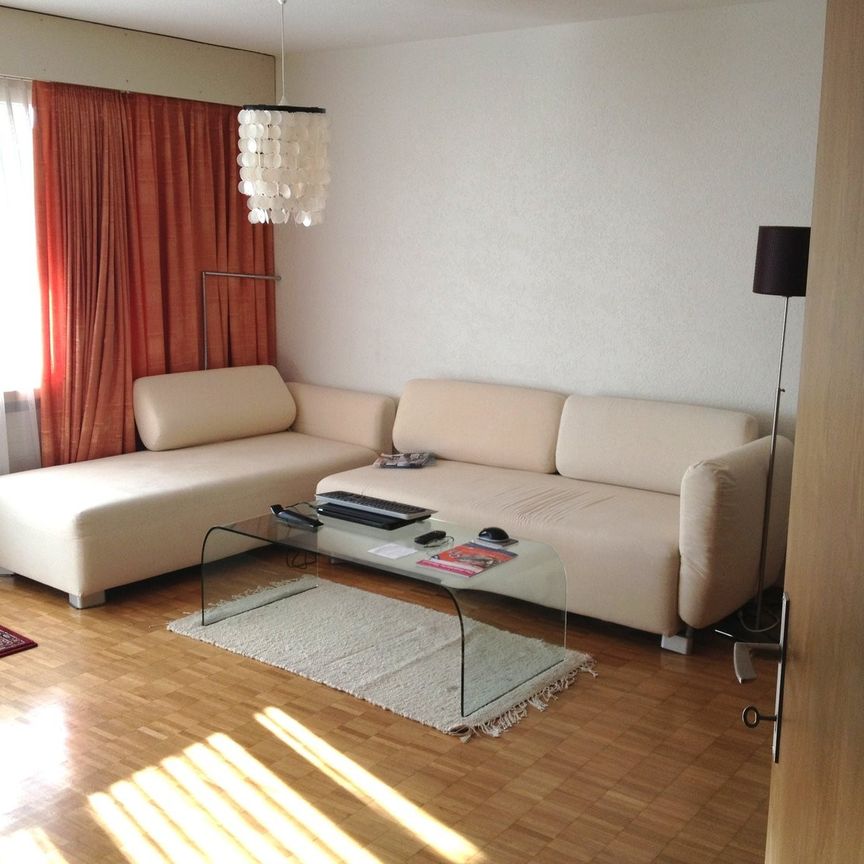 schöne 2.5-Zi. Wohnung an ruhiger Lage - Foto 1