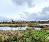 For Lease - 722 PAUL METIVIER Drive, Barrhaven, Ontario - Photo 5