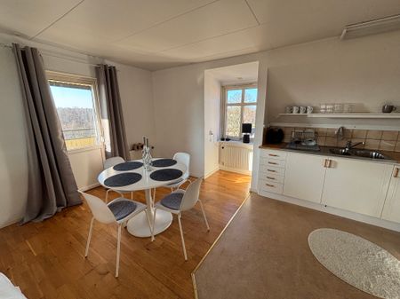 Kungsvägen, Skånes Fagerhult - Photo 4