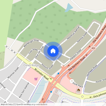 162 Wainwright Dr, NSW 2570, Cobbitty