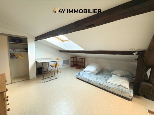 Location Appartement 1 pièce 16m² GRENOBLE 38000 - Photo 1