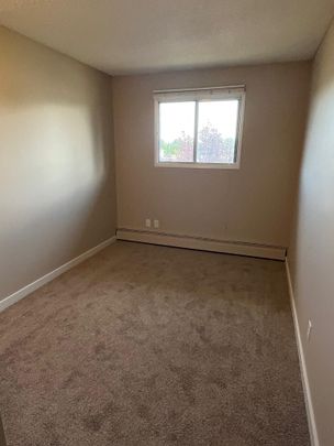 Spacious 2nd Floor 2 Bedroom Cat Friendly Suite in Clearview! - Photo 1