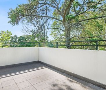 Forestville, 205B/2-4 Darley Street - Photo 4