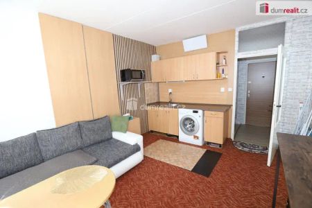 Krásný útulný vybavený byt 1+1 ve zvýšeném přízemí panelového domu v Sokolově - Фото 4