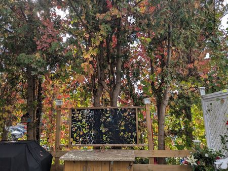 For Lease - 176 John Street, Bradford West Gwillimbury, Ontario - Photo 3