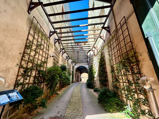 A louer : appartement T1 BIS DUPLEX de 35.55 m² aux Carmes - Photo 1