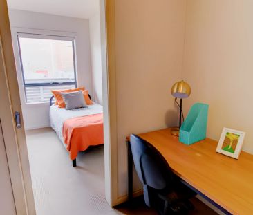 Extra Large 1 Bedroom - Photo 1