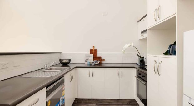 Mount Maunganui's Piece of Paradise - Photo 1