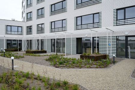Luxueus 2 slaapkamer appartement met riant terras van 95m² - Photo 3