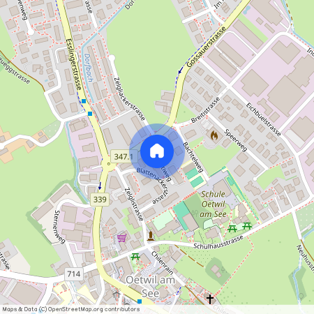 8618, Oetwil am See, Blattenrütiweg