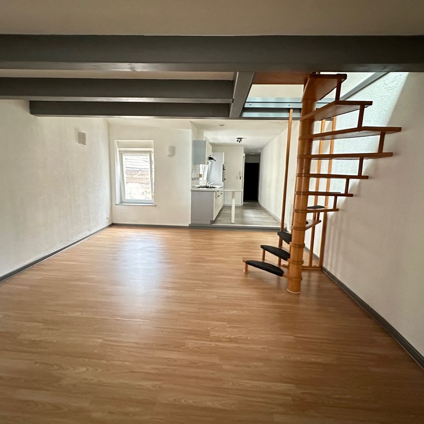 Location Appartement 2 pièces 53m² REMIREMONT 88200 - Photo 1