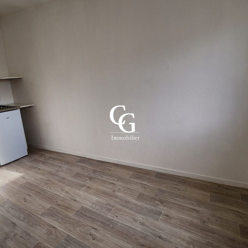 Location Appartement 1 pièce 19m² NANTES 44100 - Photo 1