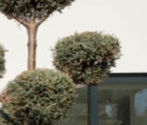 Μονοκατοικία 150 τ.μ. για ενοικίαση, Αττική - Υπόλοιπο, Ανάβυσσος - Photo 1