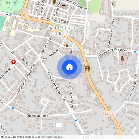 81370, Saint-Sulpice-La-Pointe