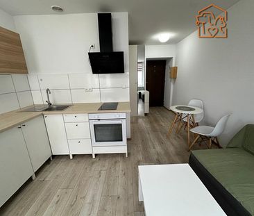 Częstochowa Ostatni Grosz, Bór - Photo 4