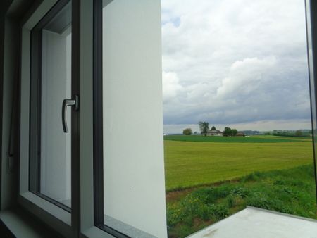 seltenes Mietangebot! - Photo 3