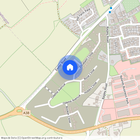 Odette Avenue, Wellington, Somerset, TA21