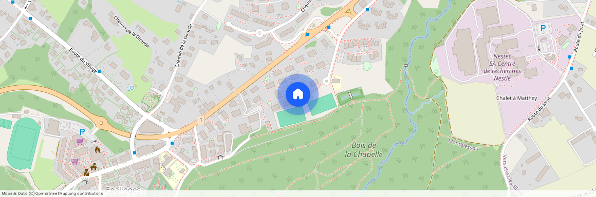 1066, Epalinges, Le Grand-Chemin, 29