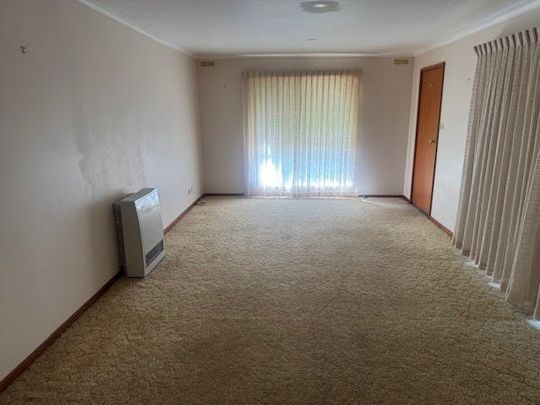 Spacious unit close to CBD - AVAILABLE NOW - Photo 1