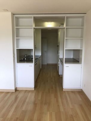 Spacious apartment in the Liebrüti - Photo 1