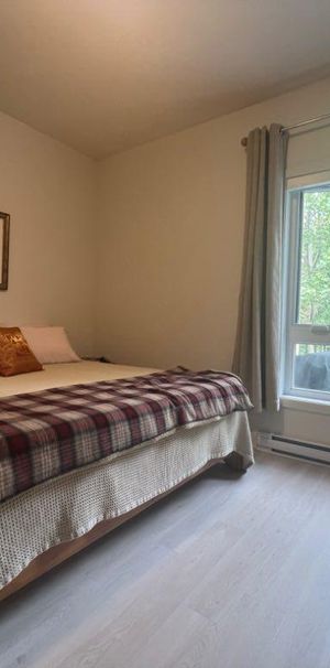Condo 4 1/2 à louer Tremblant (Secteur St-Jovite) - Photo 1
