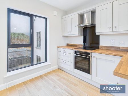 116 Watsons Fort, Newry, BT35 8YN - Photo 4