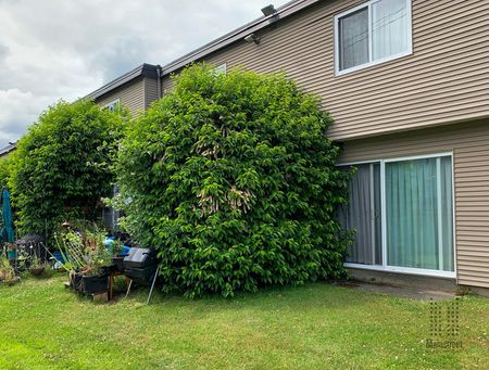 Mainstreet Garden Townhomes - Photo 5